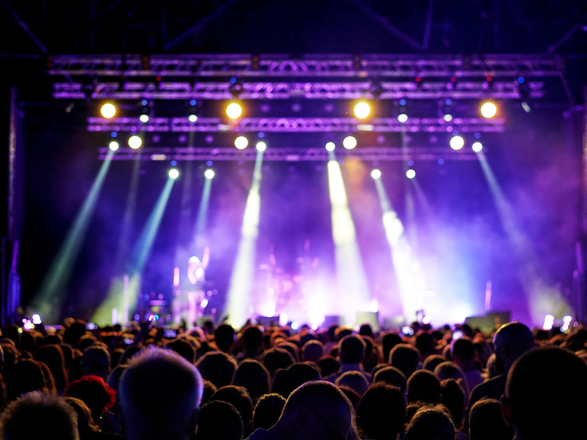 Entertainment sector