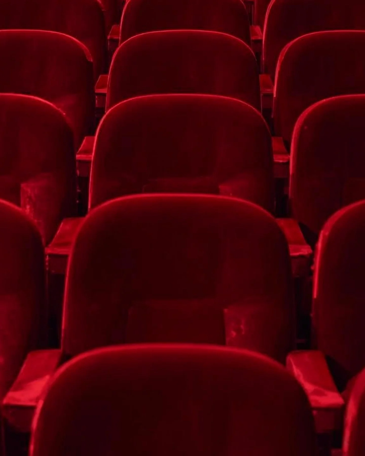 Rows of red velvet theatre seats